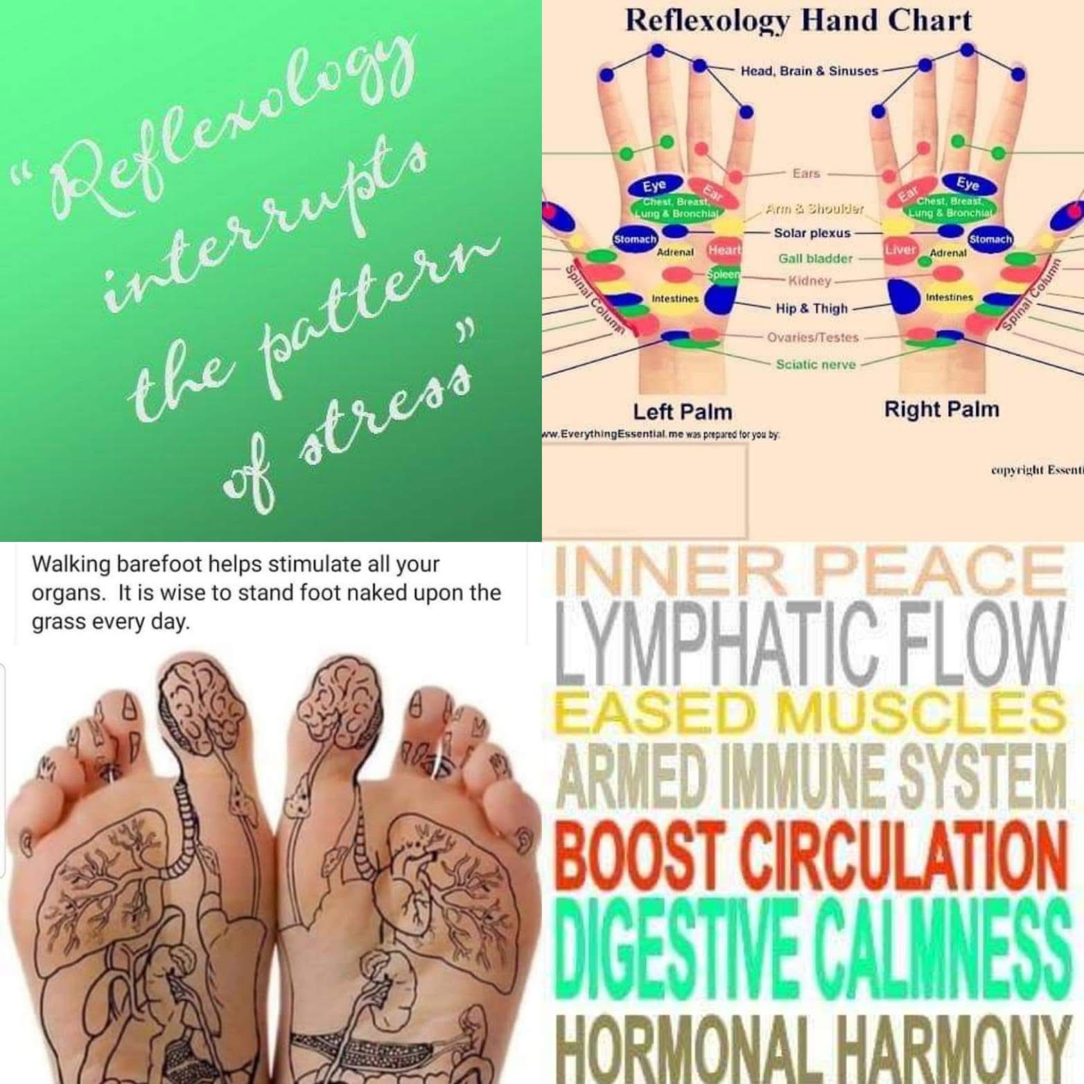 OKC On Reflexology gallery image